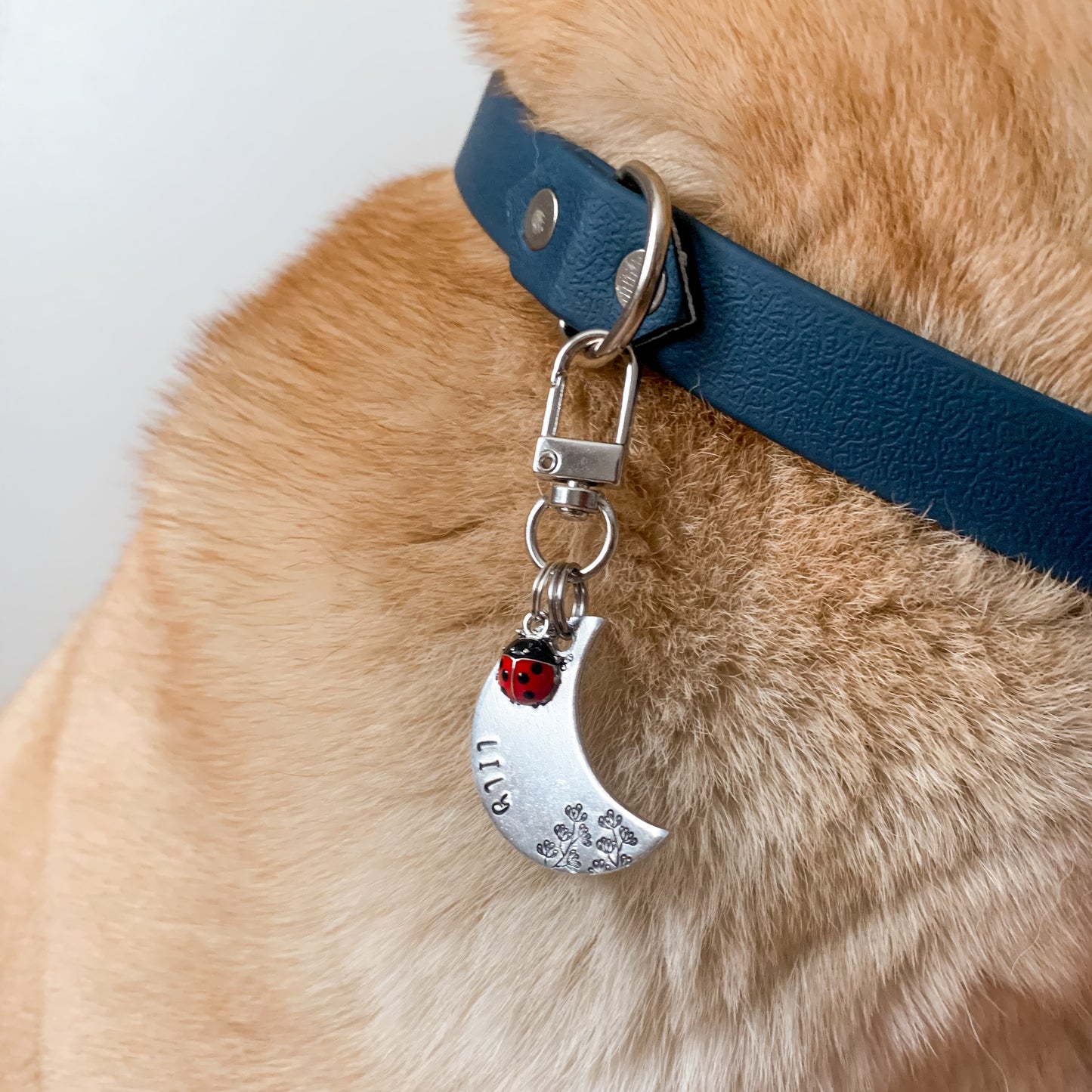 Elegáns karabiner