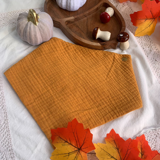 Pumpkin Spice - Kutyakendő