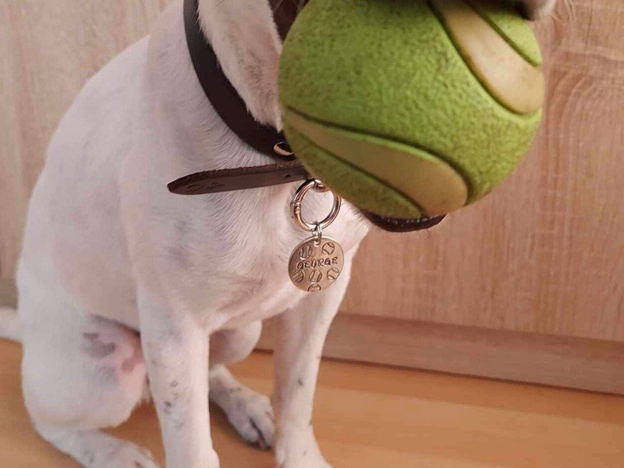 Balls - egyedi fém kutyabiléta